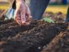 अयोध्या : किसानों को आर्गेनिक खेती के गुण सिखा रहा कृषि विभाग