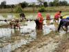 अयोध्या : धान रोपाई में बाधा बनी कम बारिश, किसान परेशान