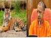लखनऊ : दुधवा नेशनल पार्क में बाघों की मौत का सीएम योगी ने लिया संज्ञान, अधिकारियों को दिया जांच का आदेश