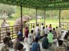 International Yoga Day 2023: हथिनी जयमाला और चंपाकली ने भी वन कर्मियों के साथ किया योगासन, देखें Video