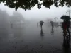 गोवा में भारी बारिश, आईएमडी ने ‘येलो’ अलर्ट किया जारी  