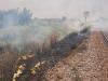 Unnao Fire News : रेलवे ट्रैक किनारे दो जगह लगी आग, अधिकारियों ने रोकी ट्रेनें, केबिल का बंडल जला