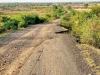 Almora News: वन भूमि का हस्तांतरण नहीं होने से सड़कों का निर्माण अटका, फाइलों में धूल फांक रहे हैं निर्माण के प्रस्ताव
