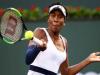 Wimbledon : 24वें विम्बलडन में एलिना स्वितोलिना के खिलाफ शुरुआत करेंगी वीनस विलियम्स 