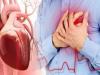 Health Tips: हृदय रोग के खतरे को किया जा सकता है कम, जानिए कैसे?