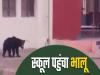 महाराष्ट्र: नांदेड़ जिले में स्कूल में घुसा भालू, वीडियो वायरल