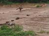 छत्तीसगढ़: गोदावरी नदी उफान पर, बाढ़ से जनजीवन प्रभावित 