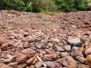 गरमपानी: पत्थरों की तस्करी पर शिंकजा कसने को वन विभाग अलर्ट