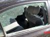 हल्द्वानी: पत्थर मारकर अधिवक्ता की कार का शीशा तोड़ा