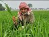 अयोध्या : मिनी किट के लिए सम्मान निधि के लाभार्थियों में से होगा किसानों का चयन