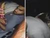 Video: यूपी रोडवेज की चलती बस में कंडक्टर बना रहा था महिला से शारीरिक संबंध, वीडियो हुआ वायरल