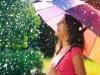 जुलाई में महज आठ दिन की बारिश, वर्षा में कमी की कर दी भरपाई 