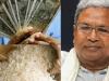 कर्नाटक ‘अन्न भाग्य योजना’: सरकार ने की पांच किलो चावल के बदले नकदी भुगतान की शुरुआत 