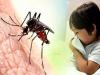 मलेरिया क्या है और लोग कैसे संक्रमित हुए, इस बीमारी को रोकने में कैसे मदद कर सकते हैं? 