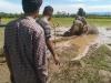 बिजनौर: भूख और गंभीर चोट लगने से हाथी की मौत, वन विभाग के रेस्क्यू ऑपरेशन को लेकर उठे सवाल