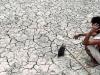 कम बारिश के कारण सूखे जैसे हालात की तरफ बढ़ रहा झारखंड राज्य