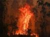 ऑस्ट्रेलिया के जंगलों में आग के धुएं से लोगों को बचाने में मददगार हो सकते हैं एयर प्यूरीफायर