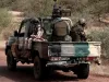 माली में आतंकवादी हमले में 17 लोगों की मौत 