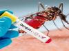 मुरादाबाद :  जिले में बढ़ रहे डेंगू के मरीज, अब तक 33 में पुष्टि