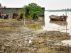 मुरादाबाद: रामगंगा नदी का जलस्तर कम, मुश्किलें बरकरार...खेतों में फसल जलमग्न 