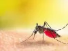 हल्द्वानी: जिले में डेंगू के 10 संदिग्ध मिले, अस्पतालों में भर्ती