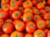 Tomato Import : नेपाल भारत को टमाटर निर्यात करने को तैयार, बाजार तक आसान पहुंच की जताई इच्छा 