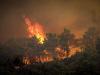 हवाई के जंगलों में लगी आग में मरने वालों की संख्या 67 हुई 