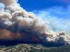 America: हवाई राज्य के माउई जंगलों में लगी आग, 90 से ज्यादा लोगों की मौत