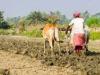 बरेली: जिले में 28 हजार किसान बनेंगे समितियों के सदस्य, लक्ष्य निर्धारित