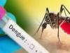 मुरादाबाद: जिला अस्पताल में 33 बुखार, 12 डेंगू संक्रमित भर्ती