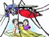 हल्द्वानी:  'जिम्मेदारों' के घर की छतों पर मिला डेंगू का लार्वा