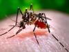 बांग्लादेश में डेंगू से 21 और लोगों की मौत, अब तक 618 लोगों की गई जान 