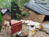 बहराइच: भारी बारिश से फूस का मकान गिरा, बाल-बाल बचे परिवार के लोग