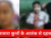 सीतापुर: आवारा कुत्तों के काटने से 6 मासूमों सहित 12 लोग जख्मी