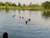 सीतापुर: दोस्तों संग तालाब में नहाने गए युवक की डूबने से मौत 