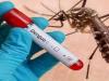 Dengue News: डेंगू को हल्के में न लें... लापरवाही घातक पड़ सकती है, इस स्ट्रेन का संक्रमण सबसे ज्यादा हावी