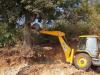 गरमपानी: बगैर अनुमति चला दी जेसीबी मशीन, हरे भरे पेड़ भी उखाड़ डाले