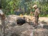 खटीमा:  पुलिस और वन विभाग की संयुक्त कार्रवाई, 5 भट्ठियां, उपकरण, 15 हजार लीटर लहन नष्ट किया