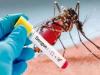 बरेली: 11 और मरीजों में डेंगू की पुष्टि, अब तक डेंगू के 977 मरीज आ चुके हैं सामने 