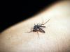 बरेली: स्वास्थ्य मेलों में भी बुखार के मरीजों की भरमार, ज्यादातर में डेंगू के लक्षण