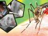 बरेली: डेंगू जैसे लक्षण वाले बुखार से हुईं 30 से अधिक मौतें, ऑडिट कागजों तक सीमित