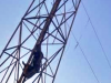 हल्द्वानी: मानसिक दिव्यांग महिला को न मिली 'खैनी' तो चढ़ गई बिजली के टॉवर पर