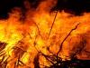 बस्ती: झोपड़ीनुमा घर में लगी आग, 44 बकरियों की जलकर मौत