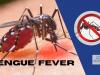 शाहजहांपुर: कांट में डेंगू से शिक्षिका की मौत