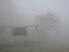 मुरादाबाद: कोहरे ने बढ़ाई ठंड, रात से लेकर सुबह तक छाया रहा कोहरा