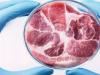 इटली ने प्रयोगशाला में उत्पादित मांस पर लगाया प्रतिबंध, महीनों बहस के बाद संसद में कानून पारित