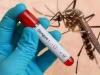 रामपुर: मसवासी में डेंगू बुखार से विवाहिता समेत दो की मौत...लेकिन स्वास्थ्य विभाग के आंकड़े अभी भी खाली