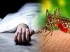  शाहजहांपुर: नहीं थम रहा डेंगू का प्रकोप, पंचायत सफाई कर्मी की हुई मौत