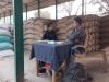 संभल : जिले में धान खरीद की रफ्तार धीमी, लक्ष्य पाना मुश्किल