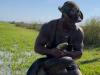 VIRAL VIDEO: शख्स ने नंगे हाथों से पकड़ा विशालकाय एनाकोंडा, वीडियो देख कांप जाएगी रूह